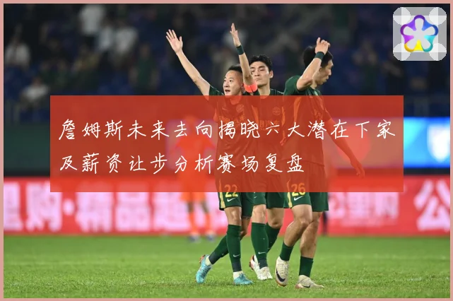 詹姆斯未来去向揭晓六大潜在下家及薪资让步分析赛场复盘