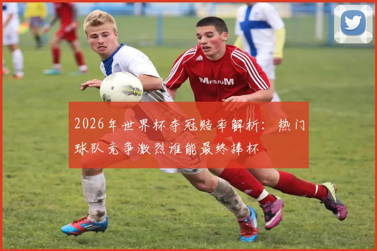 2026年世界杯夺冠赔率解析：热门球队竞争激烈谁能最终捧杯